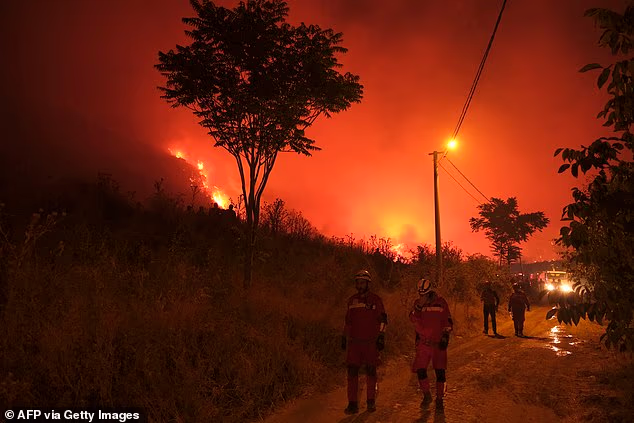 Flames And Smoke Rise From A Forest Area In The Gursu District Of Bursa Gettyimage