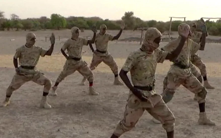 Al Qaeda Affiliate Jamaat Nusrat Al Islam On Training Display