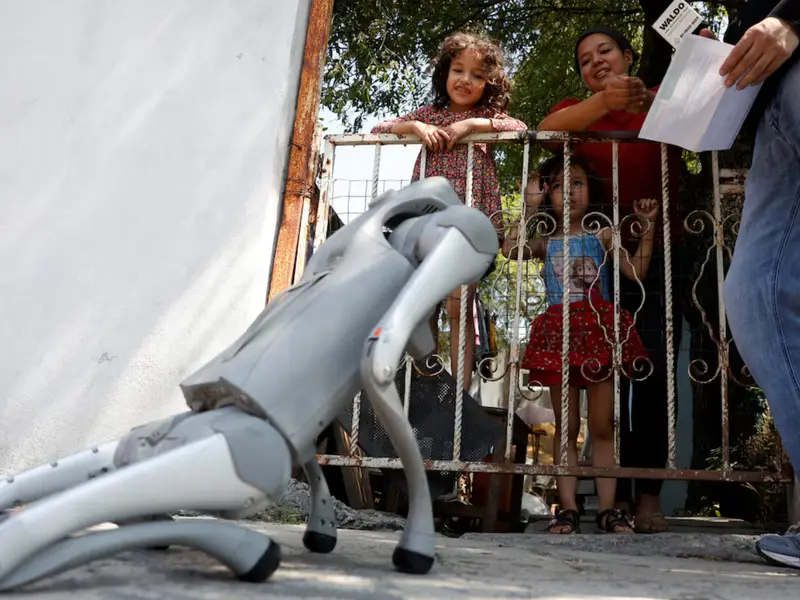 Robotic Teaching Dog