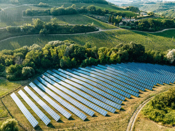 Africa Gearing Towards Becoming Major Player In Green Energy