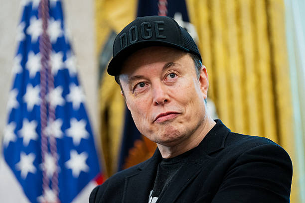 Elon Musk Virtual Appearance