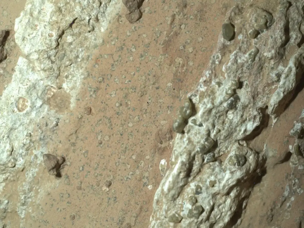 Mars Expedition Captured By Nasa