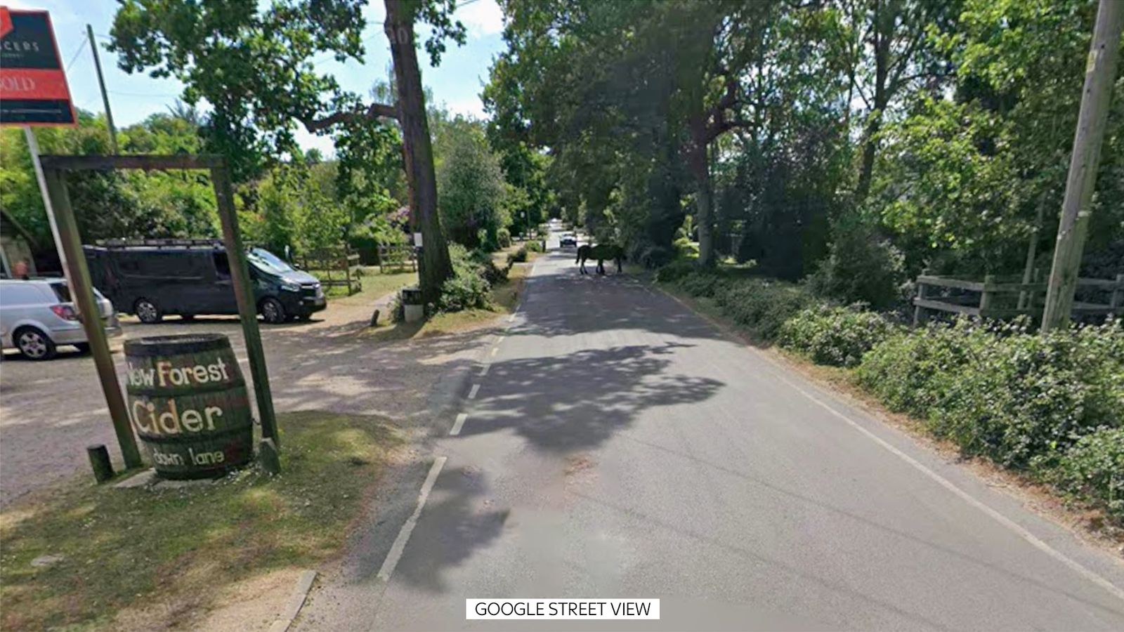 Forest Region Where The Pair Died In A Cider Camper