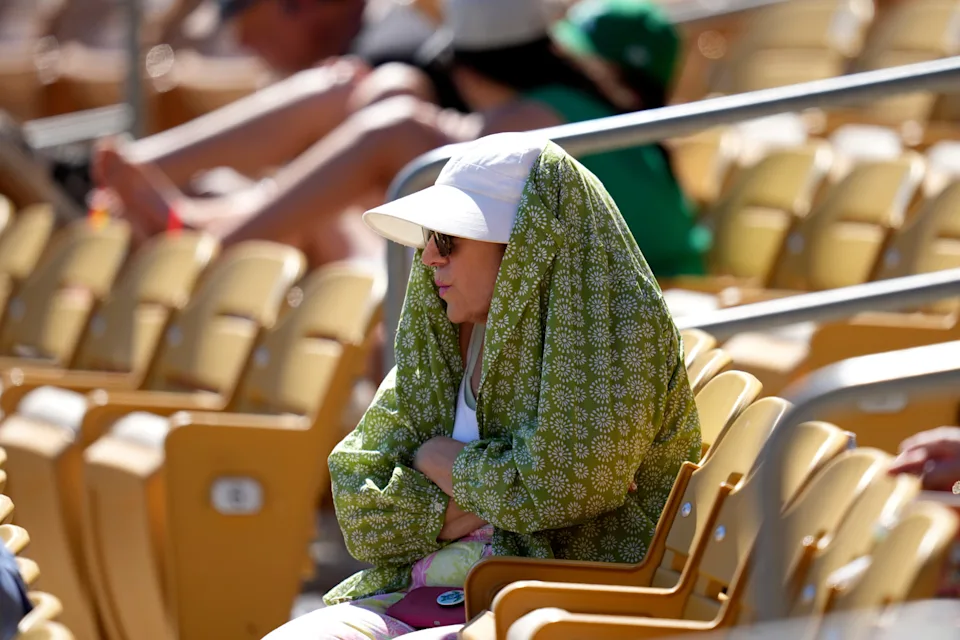 A Baseball Fan Shielding From The Sun During The Fourth Inning Of A Spring Training Baseball Game